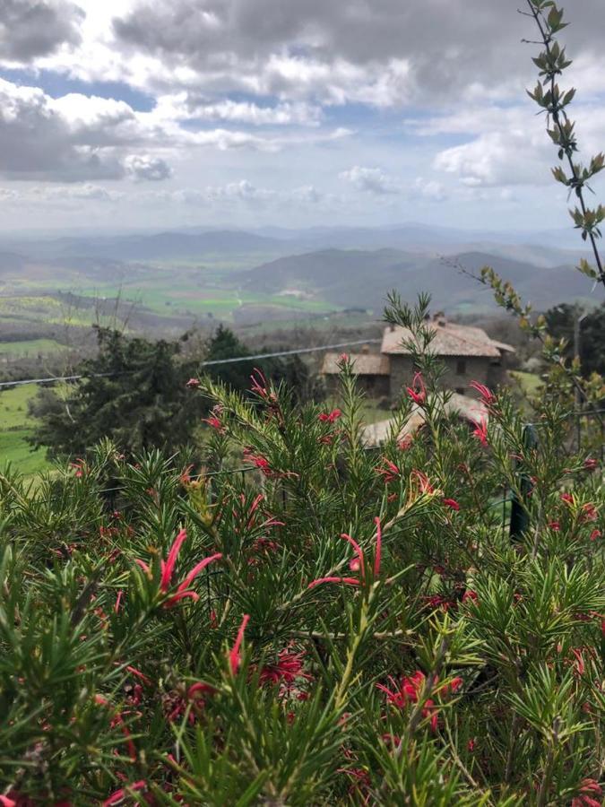 Case Vacanze Villini Panoramici Sul Lago Trasimeno Castel Rigone Exterior foto